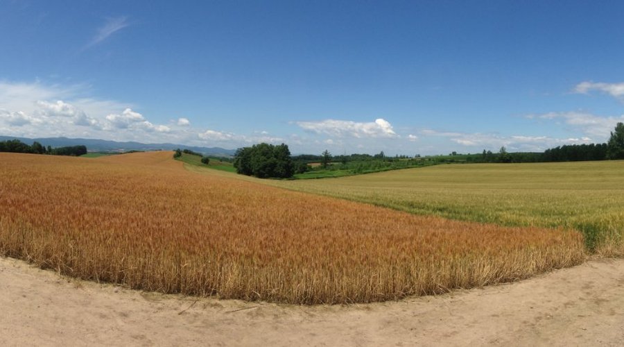 panorama view
