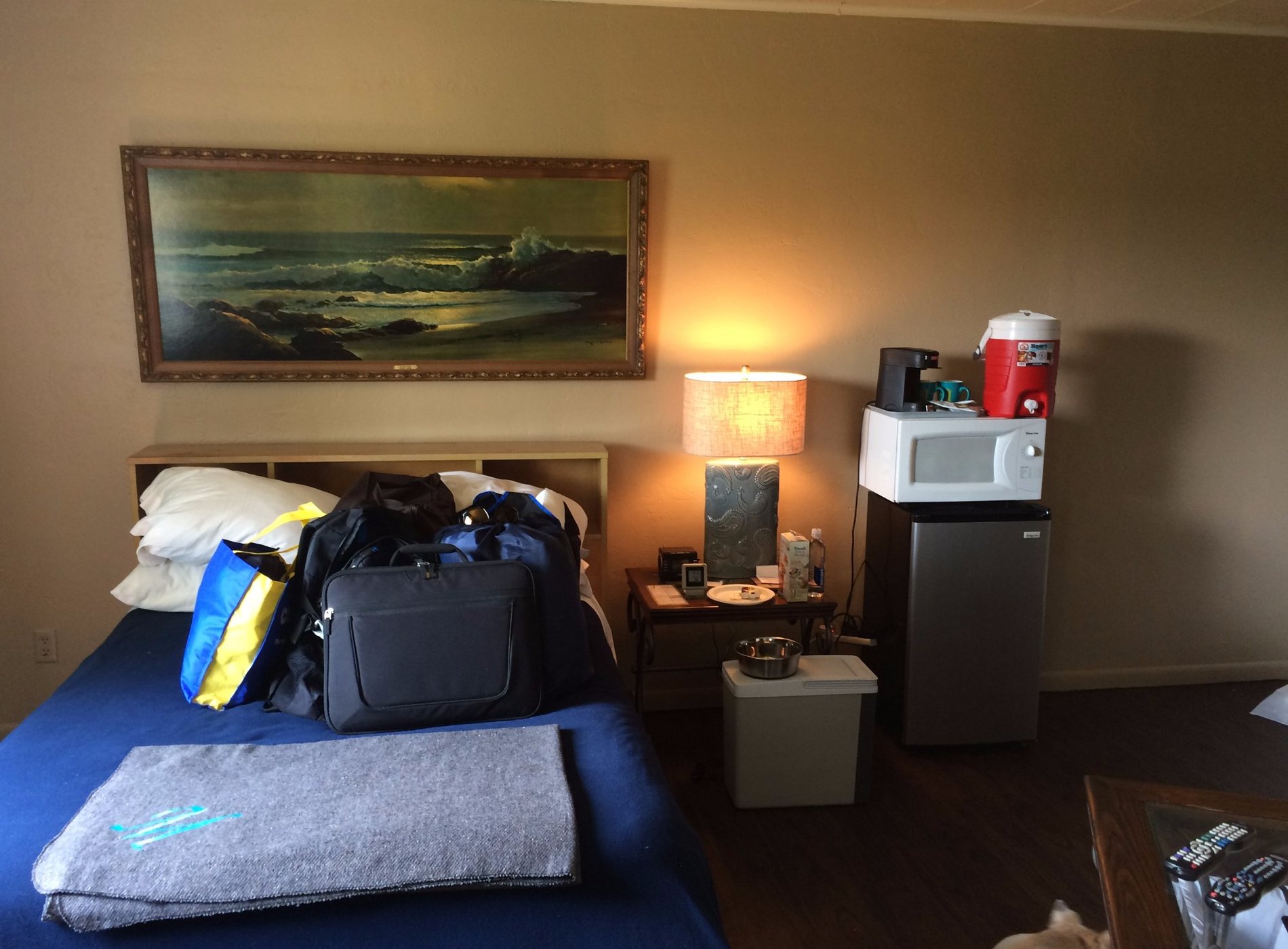 The M Motel by null