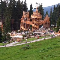 Spruce tree castle