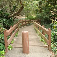 John McLaren Park