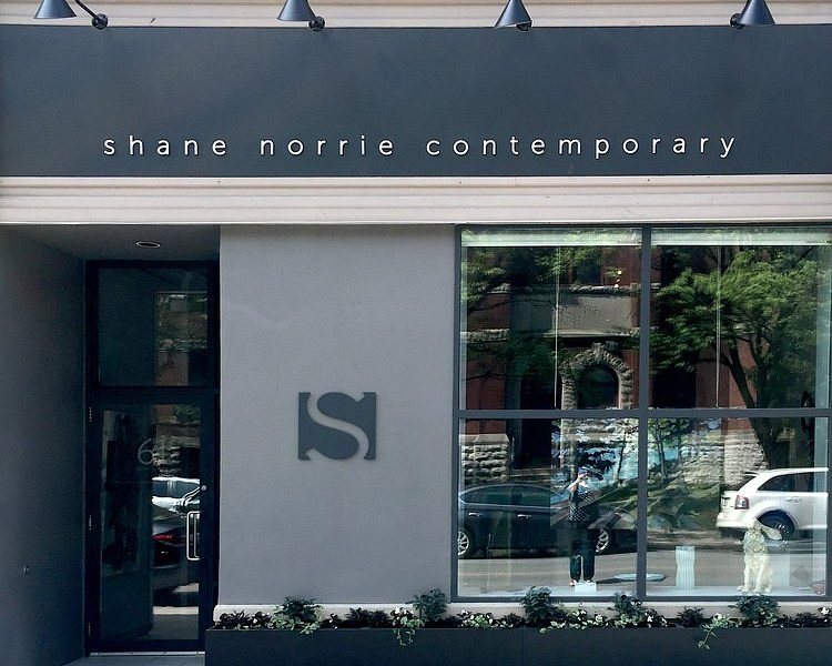 shane norrie contemporary image