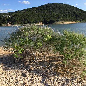 WILLIAMSON COUNTY REGIONAL PARK with 25 Reviews & 42 Photos - 3005