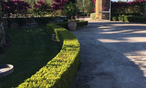 Castello Monaci