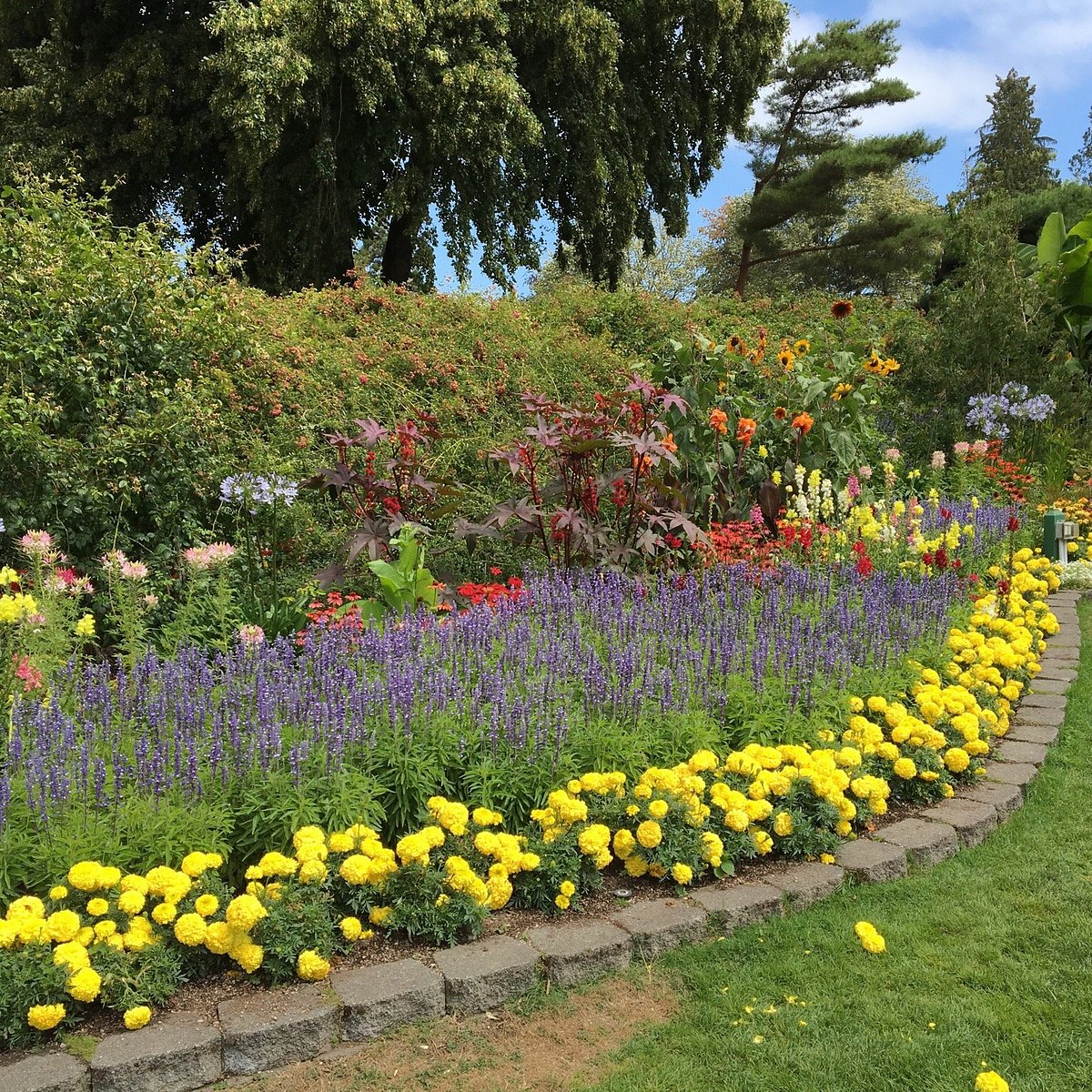 Point Defiance Rose Garden Lawn - Metro Parks Tacoma