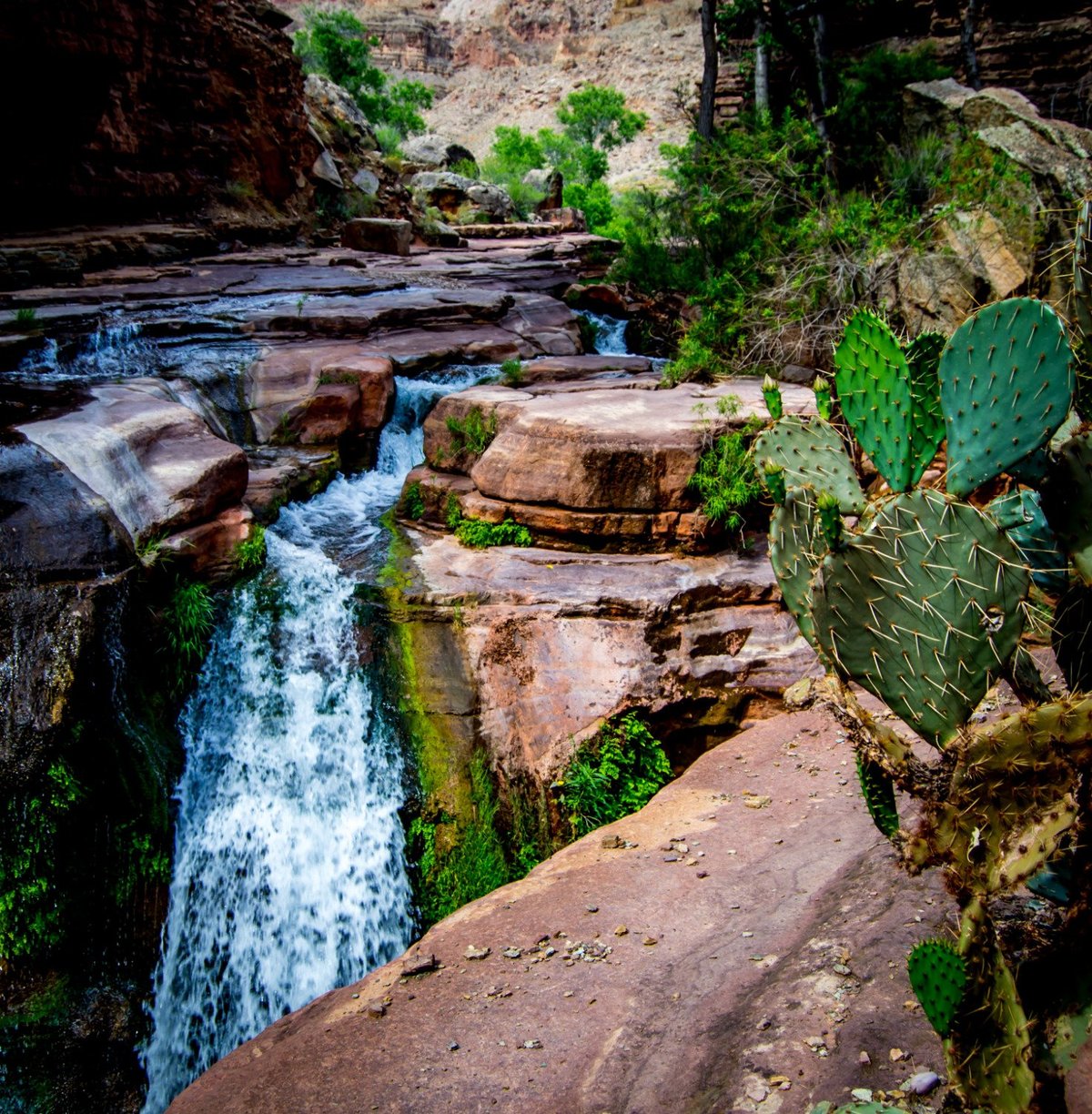Thunder River Trail - All You Need to Know BEFORE You Go (with Photos)