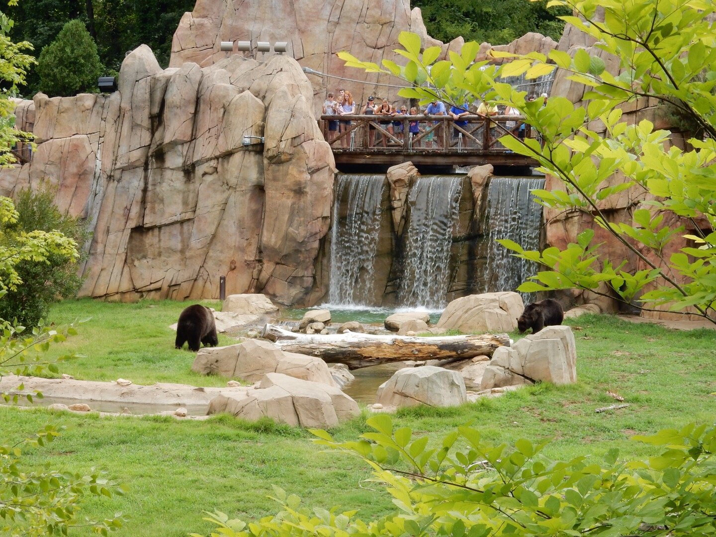 Memphis Zoo All You Need to Know BEFORE You Go 2024