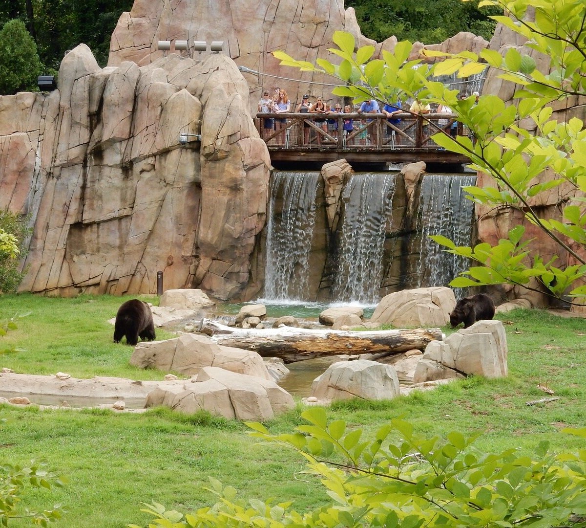 Memphis Zoo All You Need to Know BEFORE You Go (with Photos)