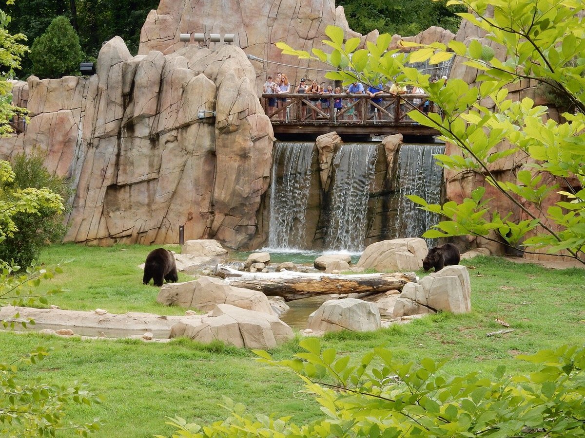 Memphis Zoo - All You Need to Know BEFORE You Go (with Photos)