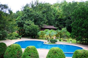Pool & Beach