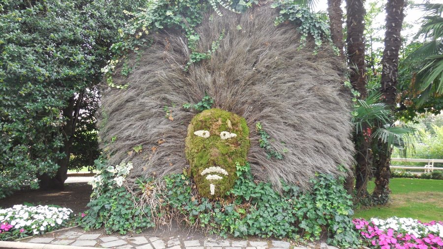 Aiuola