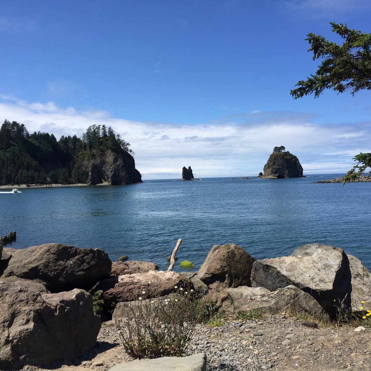 Second Beach Trail (Olympic National Park) - ATUALIZADO 2023 O que ...