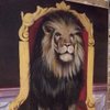 Marcoale1