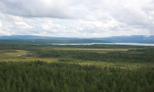 View toward the Russian border. The river divides the border between Norway and Russia in the no