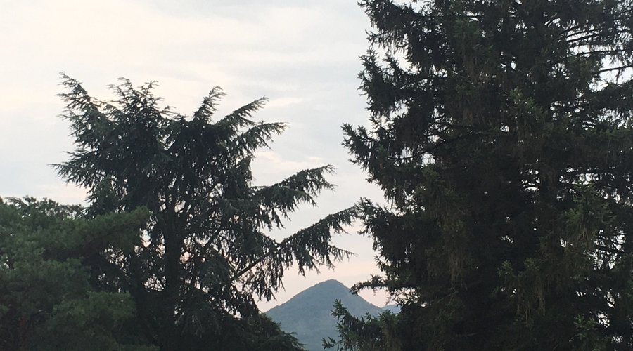 July 2016