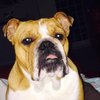 Doris S