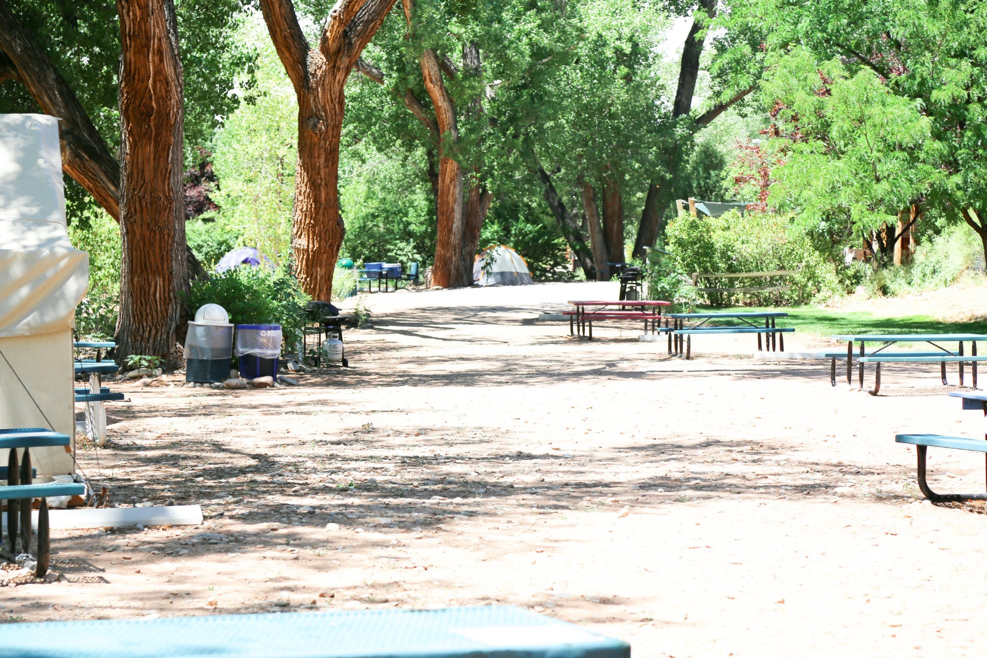 Up the Creek Campground by null