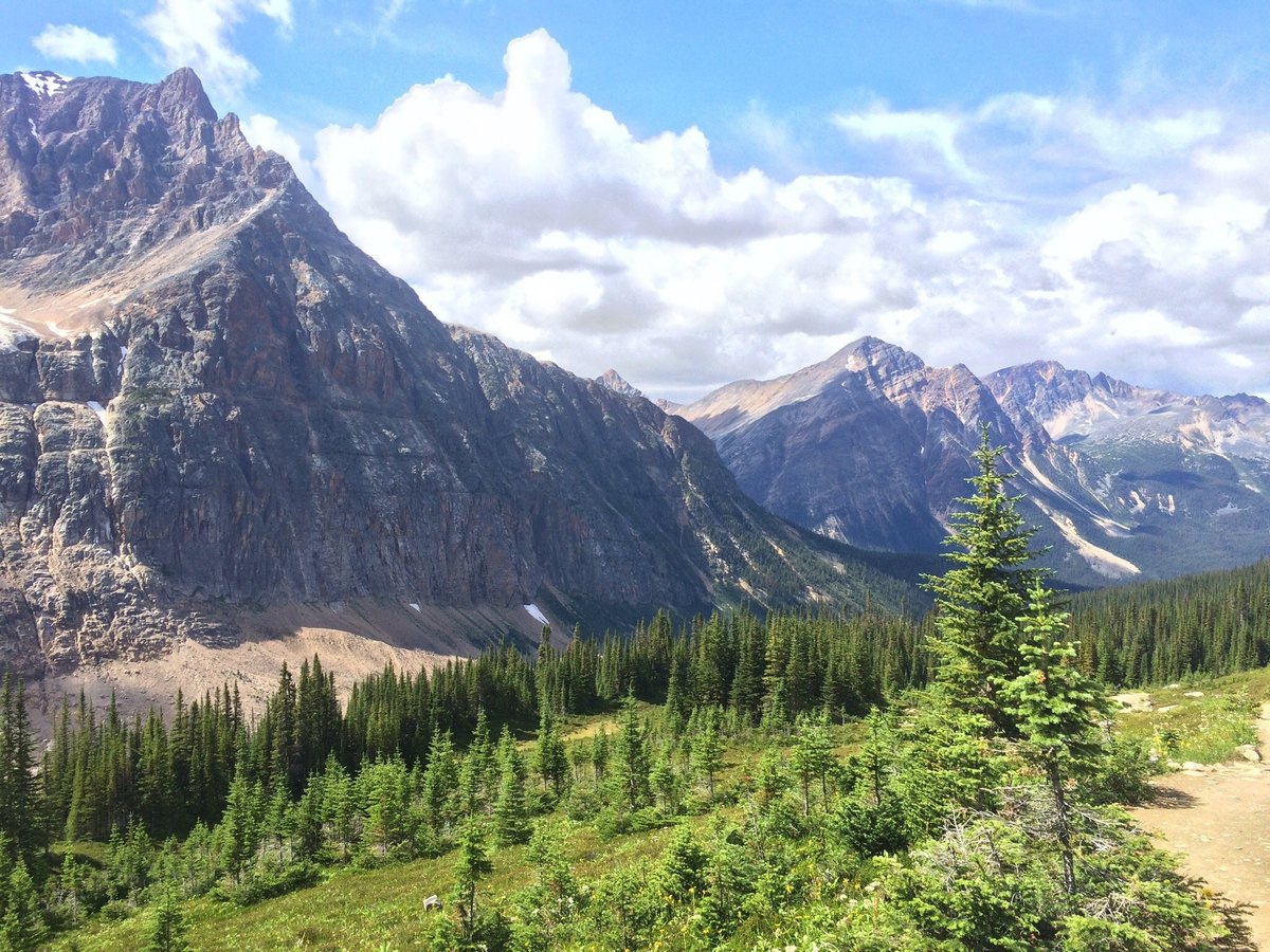 Cavell Meadows Trail (Jasper National Park) - All You Need to Know ...