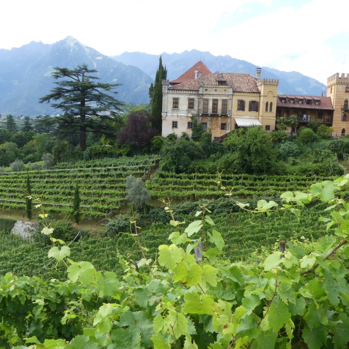 Castello Rametz - Wine Museum, Мерано: лучшие советы перед посещением -  Tripadvisor