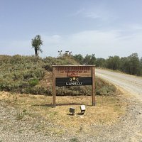 Lineally sign