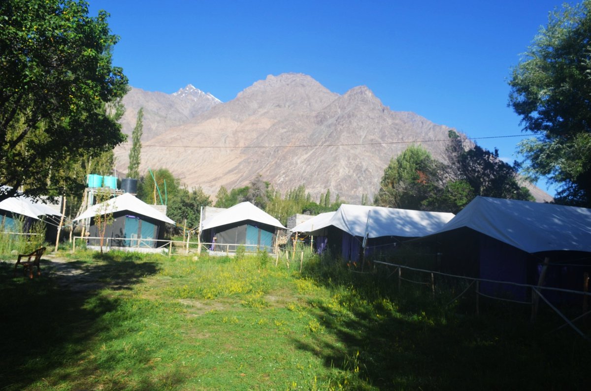 Dowa Deluxe Camp Rooms: Pictures & Reviews - Tripadvisor