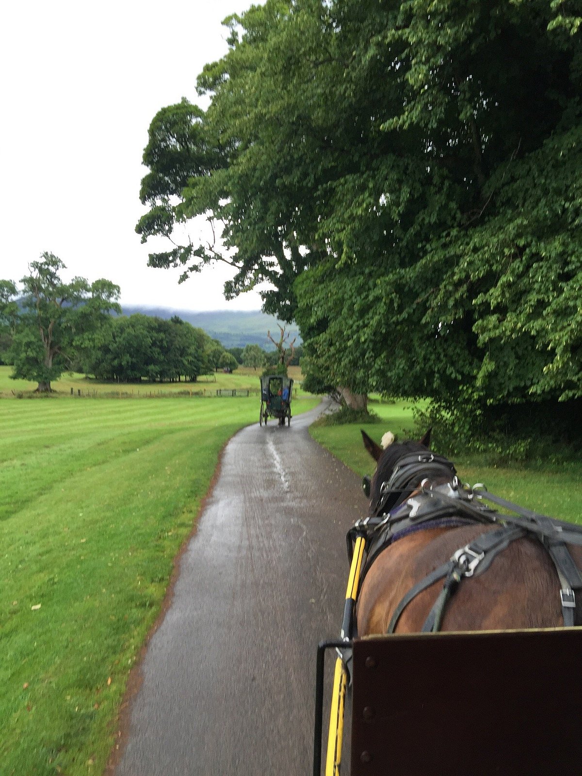 horse tours killarney