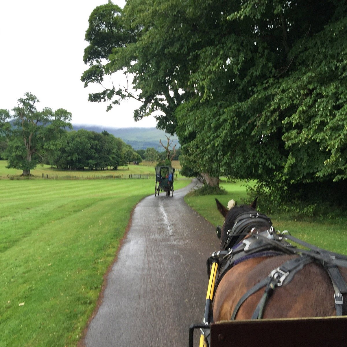 horse tours killarney