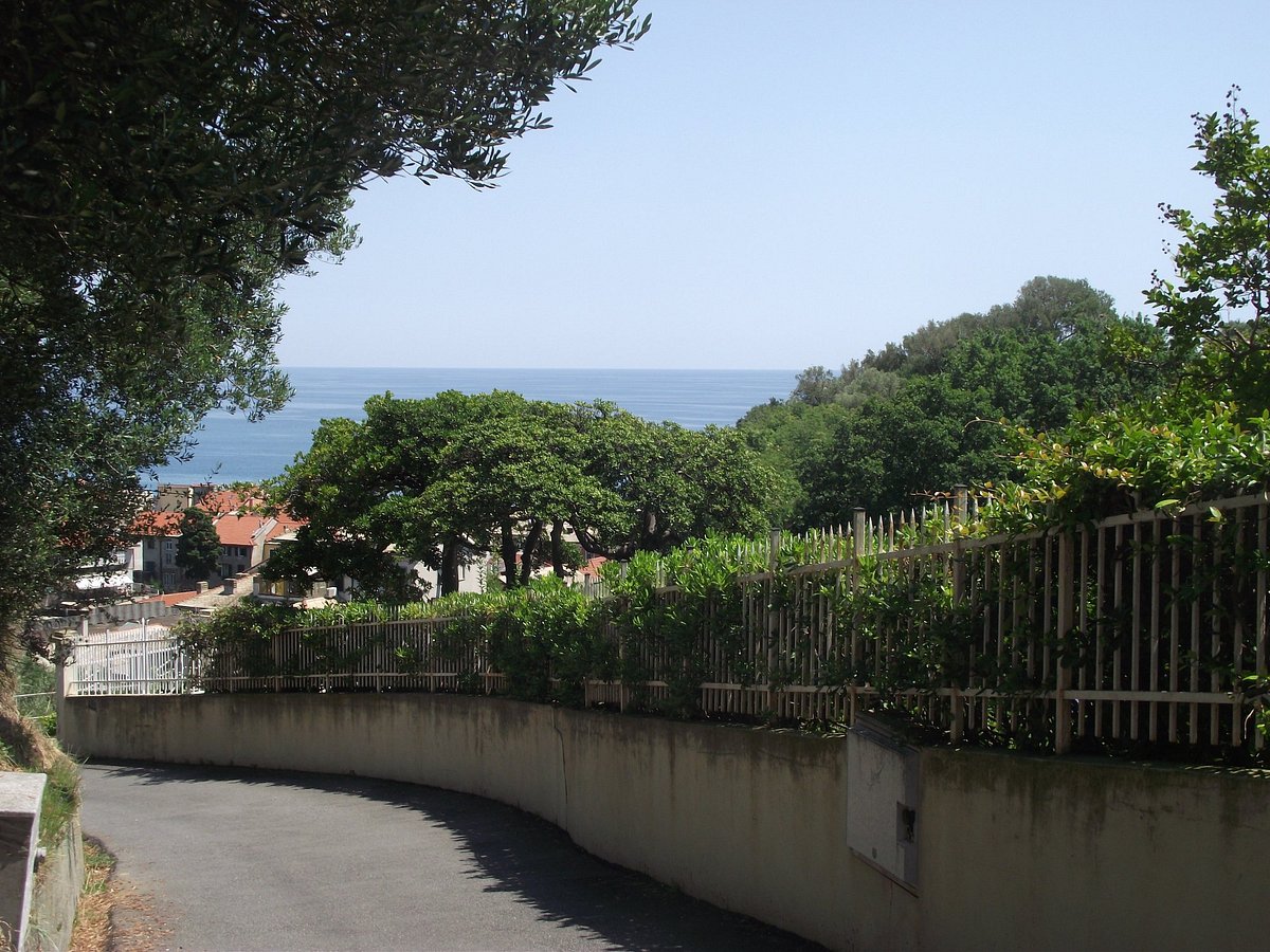 IL CASTELLARO B&B: Reviews (Celle Ligure, Liguria, Italy) - Photos of B ...