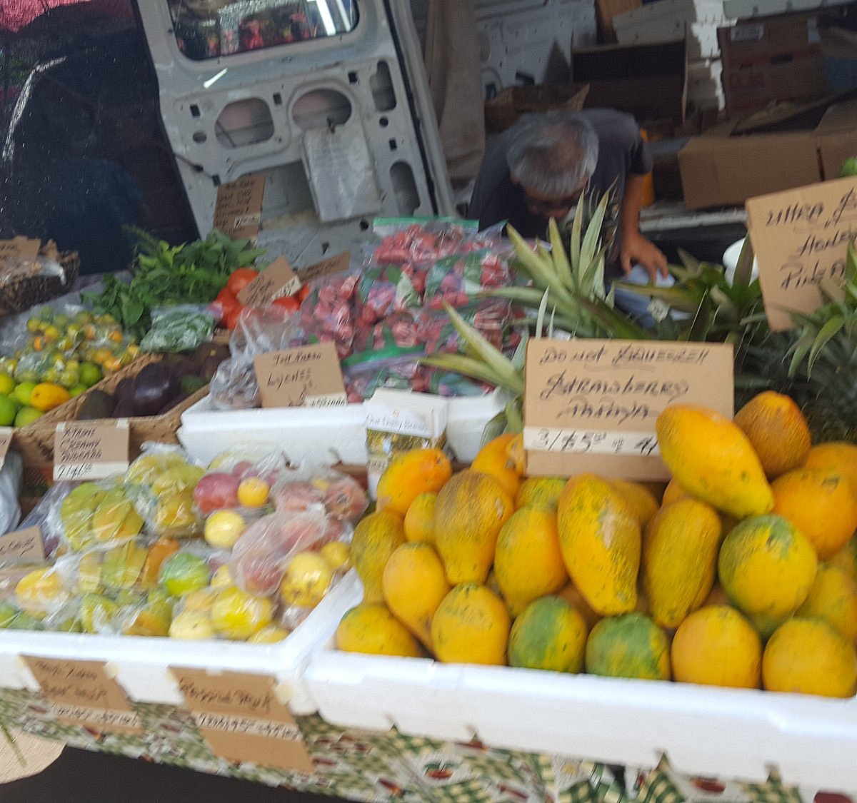 fresh food market zayed