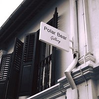 Polar Bear Gallery