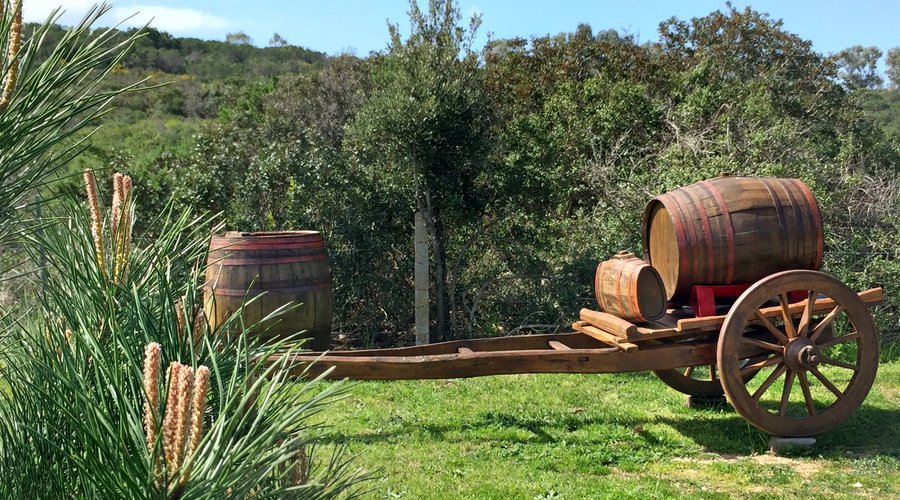 particolare del giardino