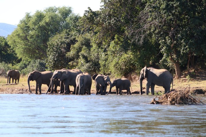 NUYANAYA RIVER CAMP (Chiawa, Zambia) - opiniones y comentarios ...