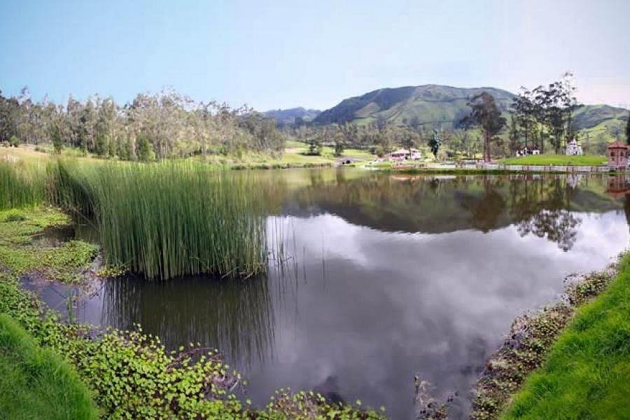 Laguna Las Cochas image