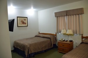 Room & Suite