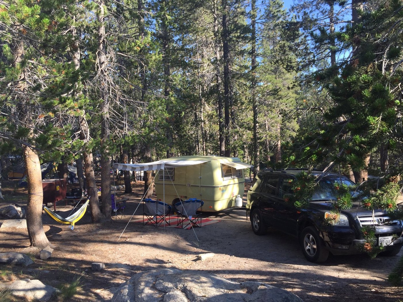 WHITE WOLF CAMPGROUND (Parc national de Yosemite, Californie) - tarifs 2024