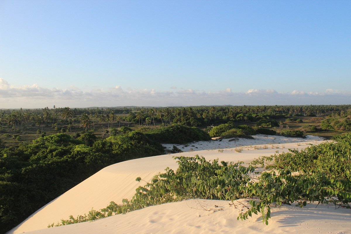 Tripadvisor, Arena das Dunas Tour: Ingresso para o Tour guiado:  experiência oferecida por Arena das Dunas