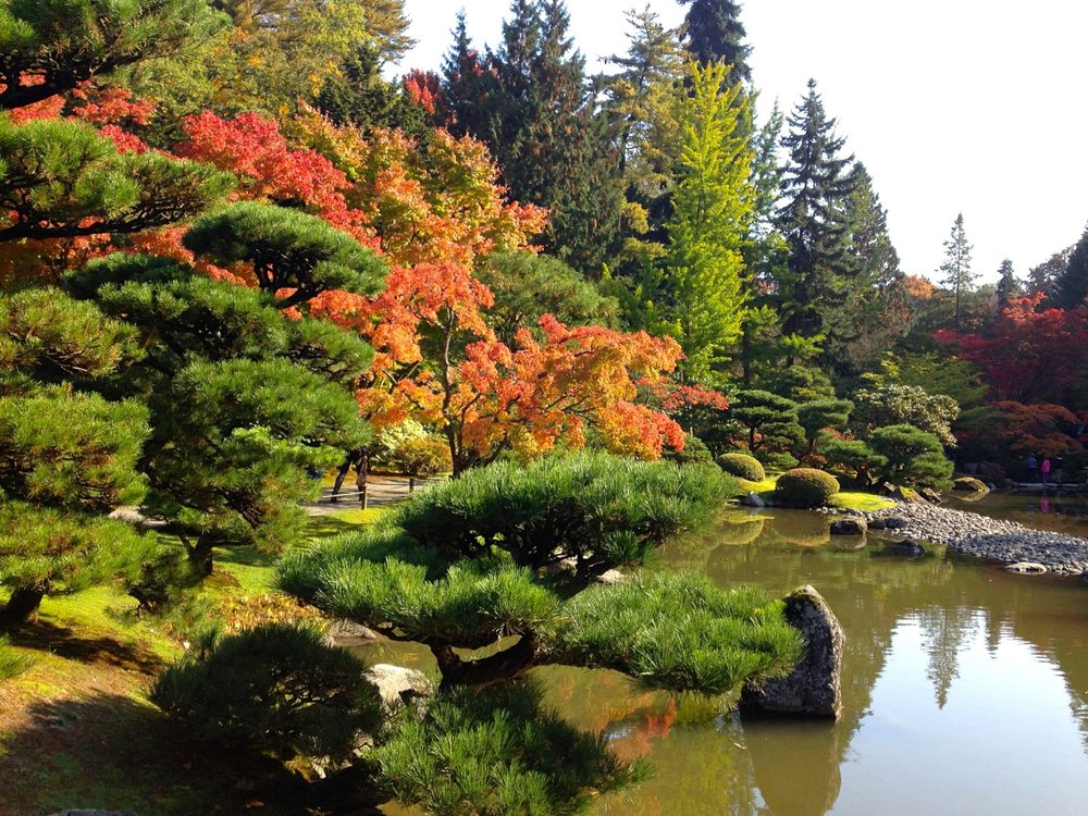 THE 10 BEST Seattle Gardens (2024) - Tripadvisor