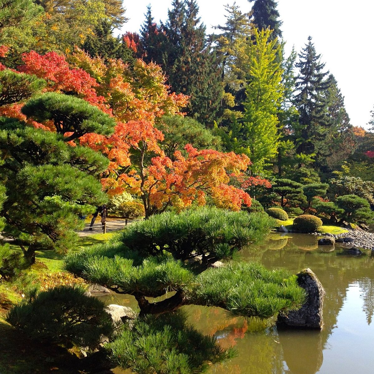 visit seattle arboretum