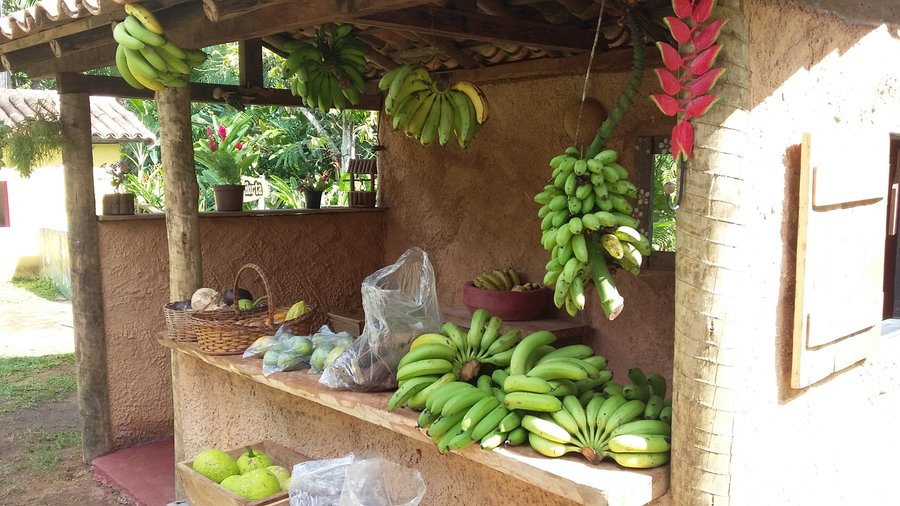 Quitanda (venda de produtos plantados e colhidos em nossa Estância)