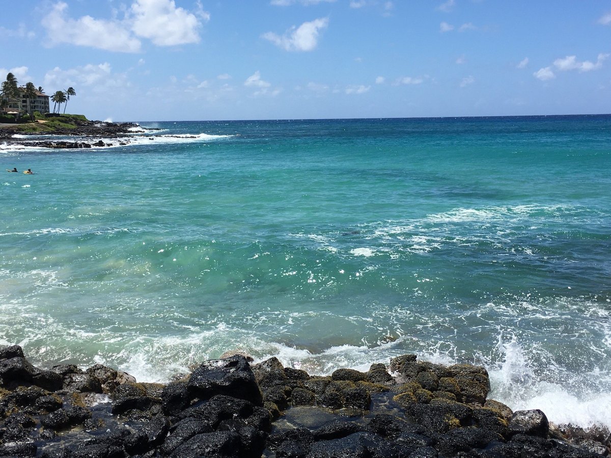 Poipu Beach Park All You Need to Know BEFORE You Go