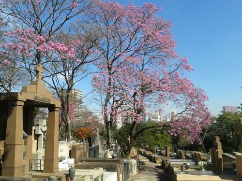 5 lugares (quase) secretos em Pinheiros que valem a pena conhecer