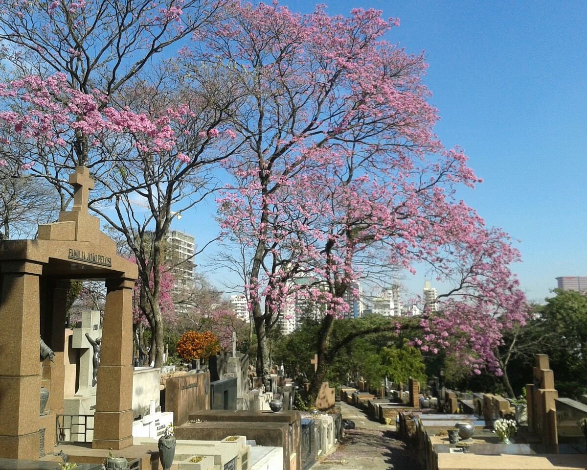 Cemitério São Paulo Sao Paulo 6980