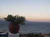 nikos_top