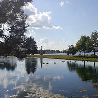 Andrew Haydon Park