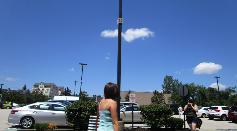 People walking in the parking lot.