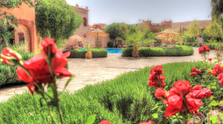 piscine et jardin