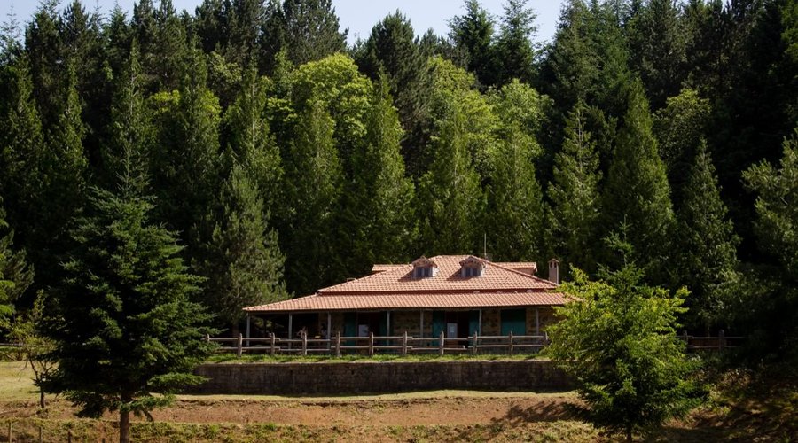 Dal laghetto si può ammirare il "rifugio" di Parco Bombarda, location ideale per festeggiare qua