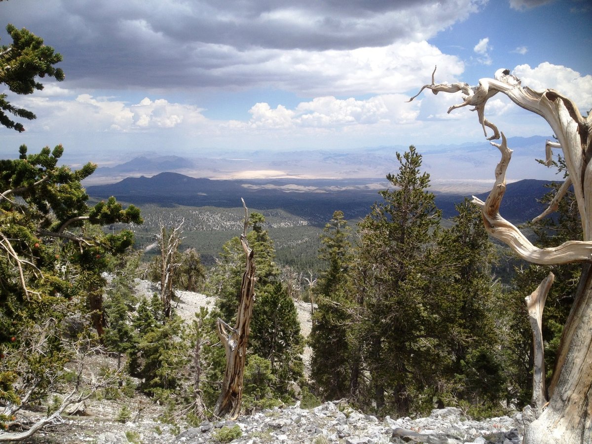 Toiyabe National Forest (Las Vegas): All You Need to Know