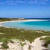 Things To Do in Ningaloo Reef Dive, Restaurants in Ningaloo Reef Dive