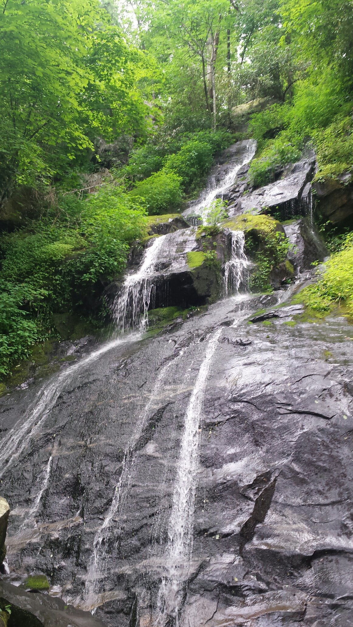 Hen Wallow Water Falls (Great Smoky Mountains National Park) - All You ...