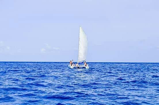 catamaran tour playa del carmen